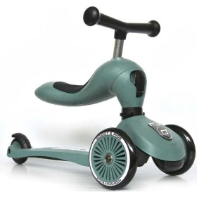 scoot_n_ride_forest_2